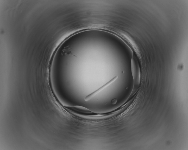 X0000096171340200801181241