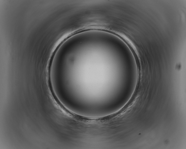X0000096171341200801181241