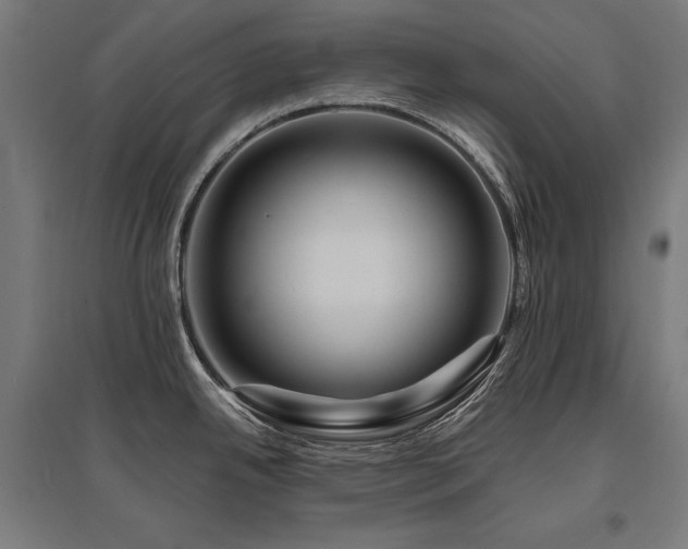 X0000096171342200801181241