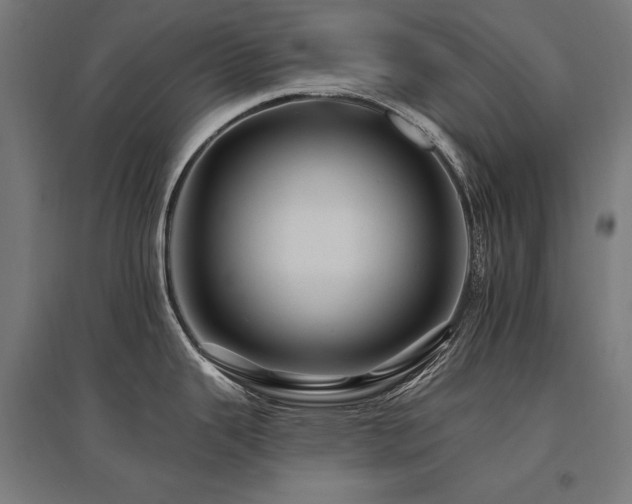 X0000096171343200801181241