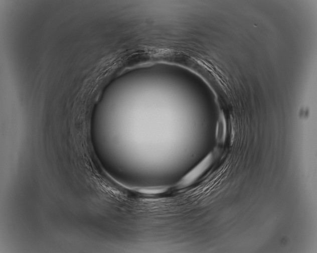 X0000096171345200801181241