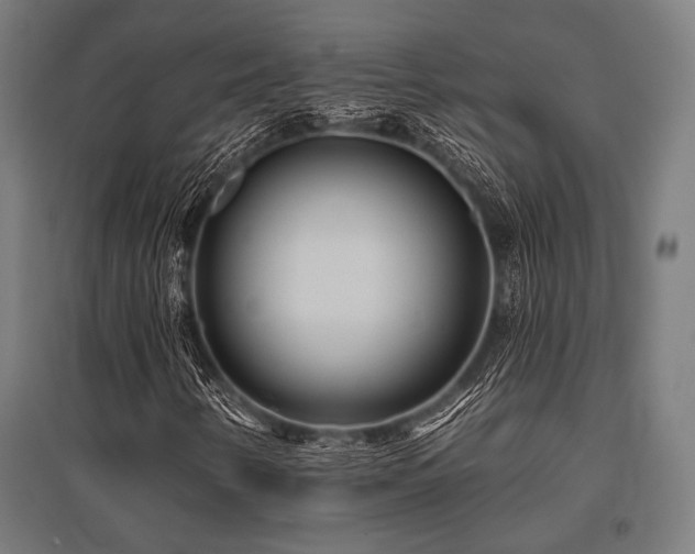 X0000096171346200801181241