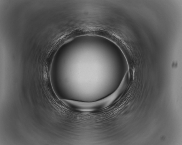 X0000096171348200801181241