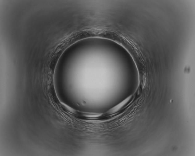 X0000096171349200801181241