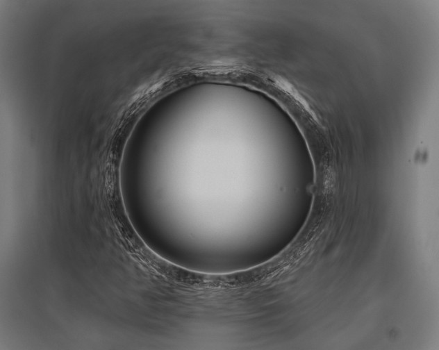 X0000096171350200801181241
