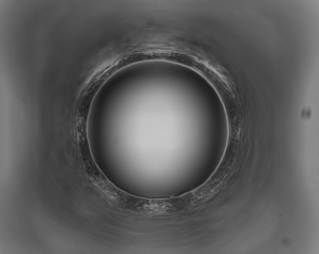 X0000096171351200801181241