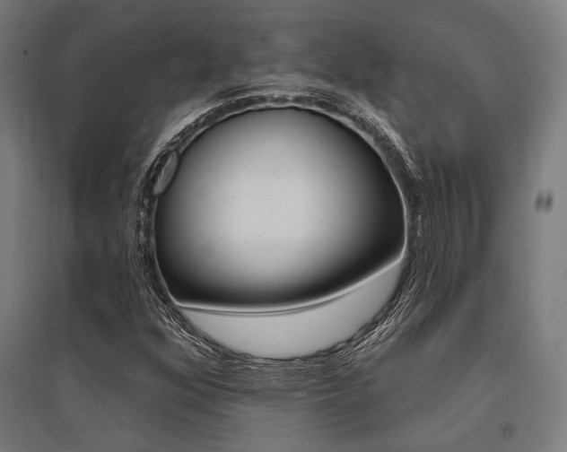 X0000096171352200801181241