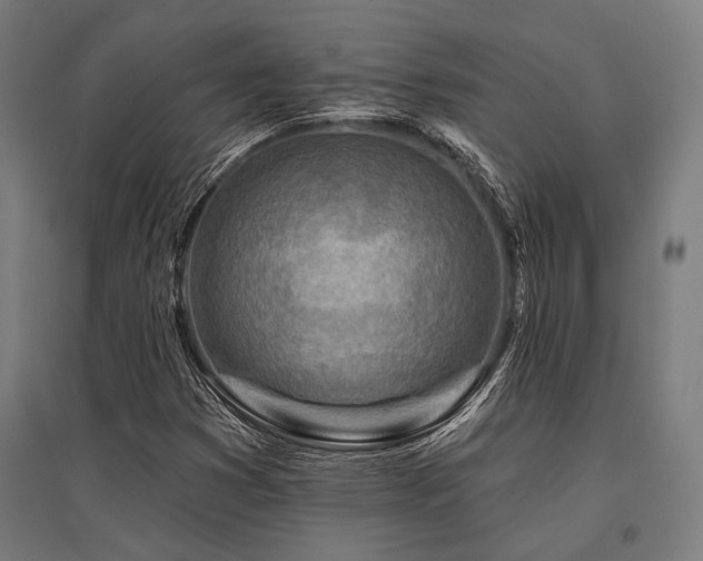 X0000096171353200801181241