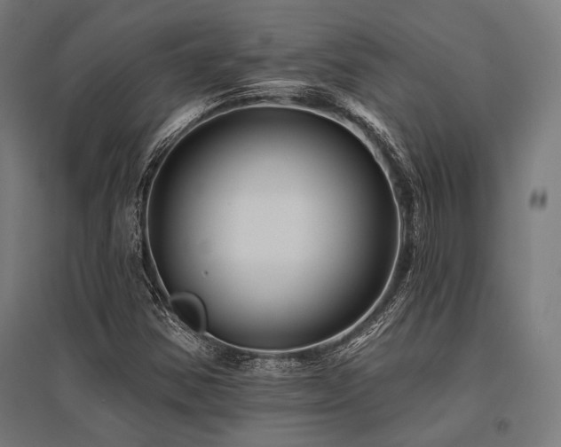 X0000096171354200801181241