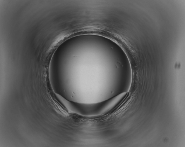 X0000096171355200801181241