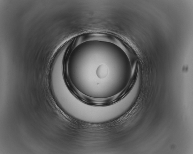 X0000096171356200801181241