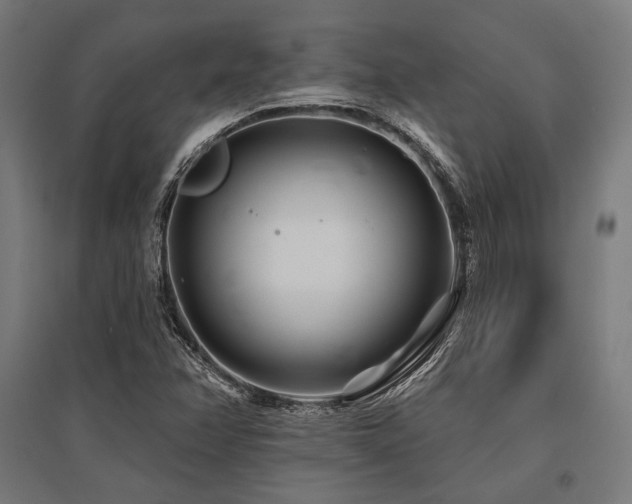 X0000096171358200801181241