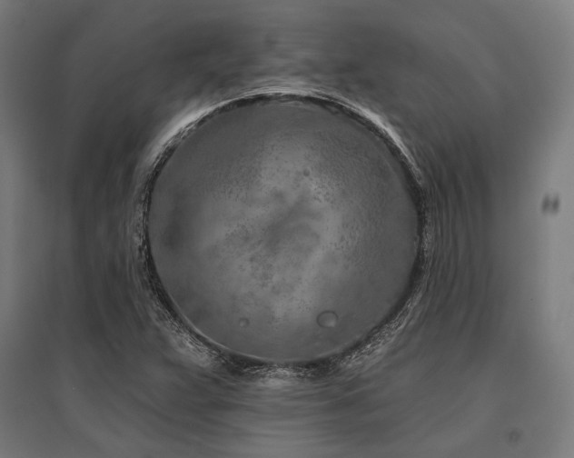 X0000096171359200801181241