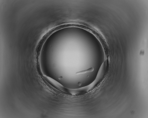 X0000096171360200801181241