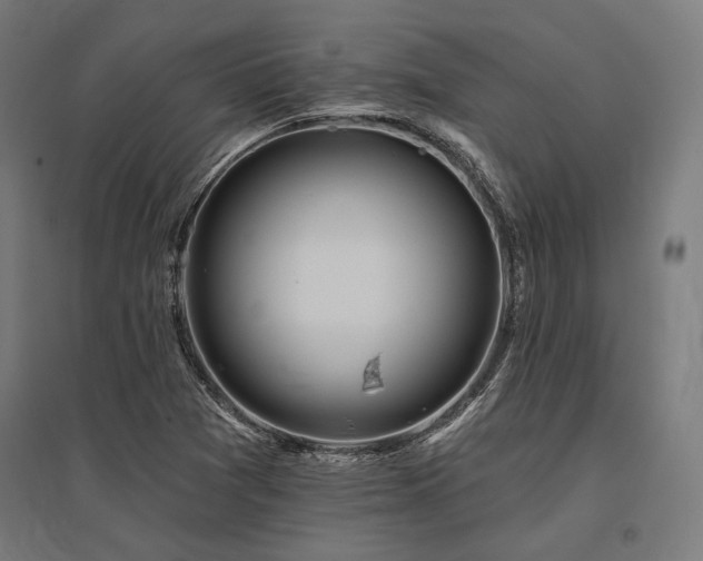 X0000096171361200801181241