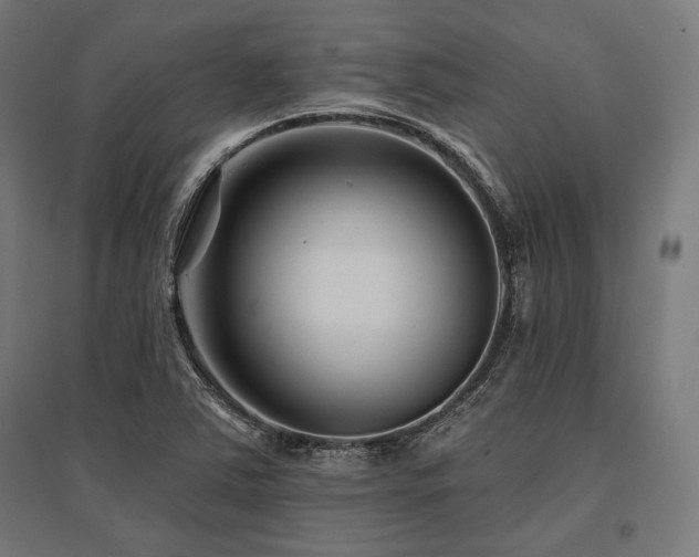 X0000096171363200801181241