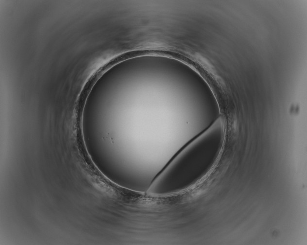 X0000096171364200801181241