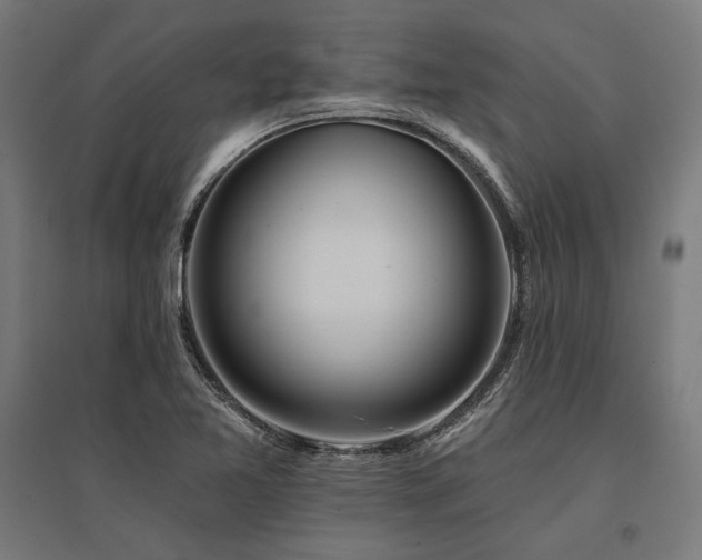 X0000096171365200801181241