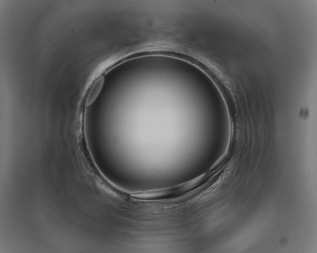 X0000096171366200801181241