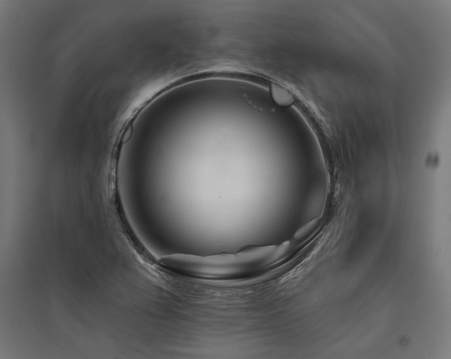 X0000096171367200801181241