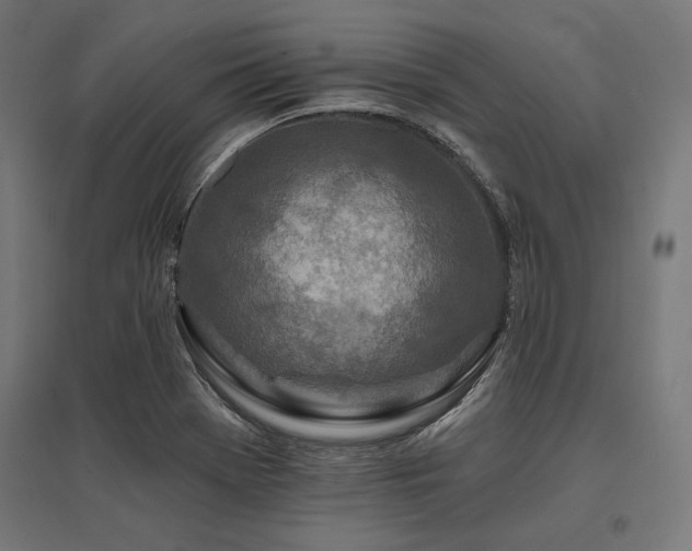 X0000096171369200801181240