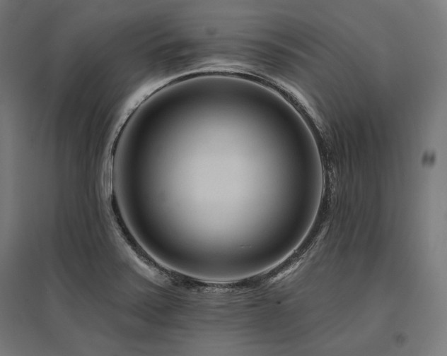 X0000096171371200801181240