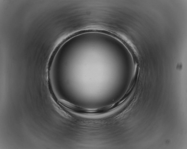 X0000096171372200801181240
