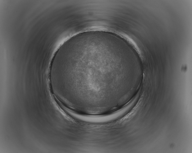 X0000096171373200801181240