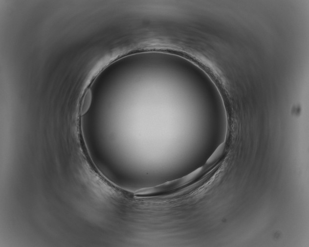 X0000096171374200801181240