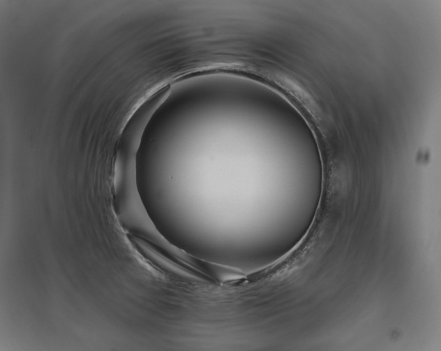 X0000096171377200801181240