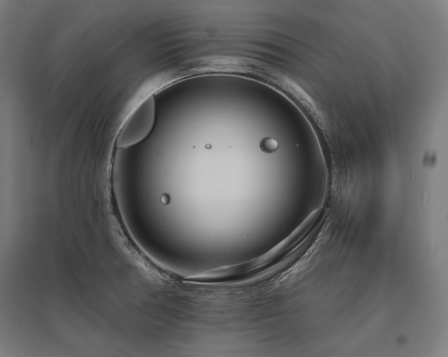X0000096171378200801181240