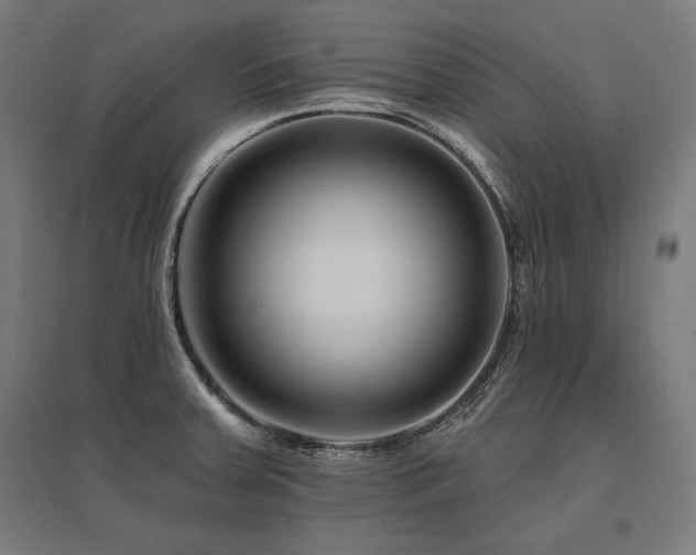 X0000096171379200801181240