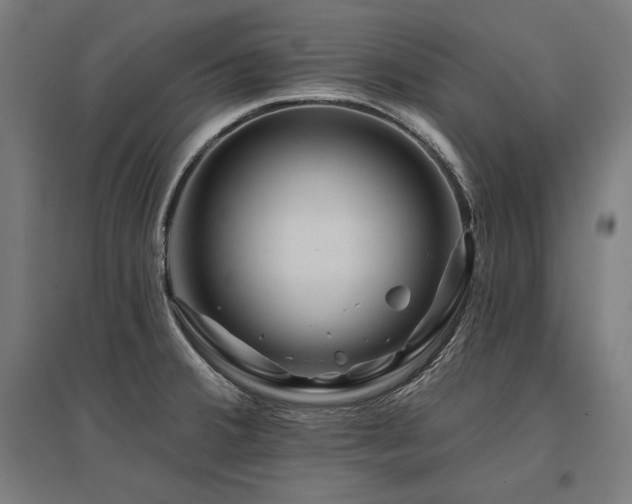 X0000096171380200801181240