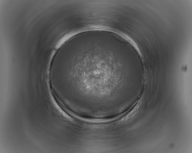 X0000096171381200801181240