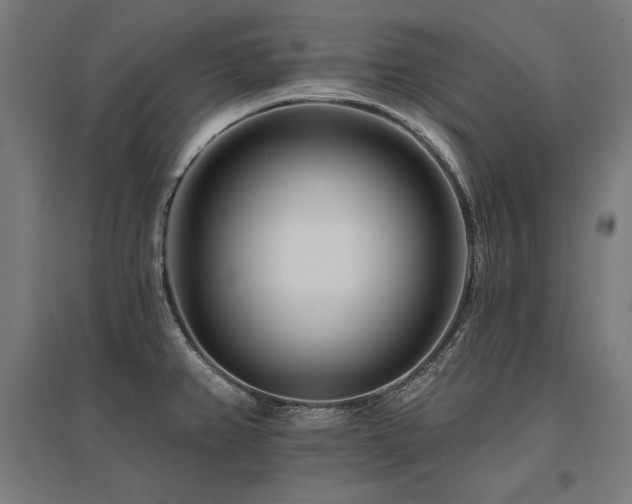 X0000096171382200801181240