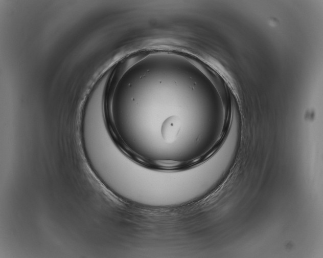 X0000096171384200801181240