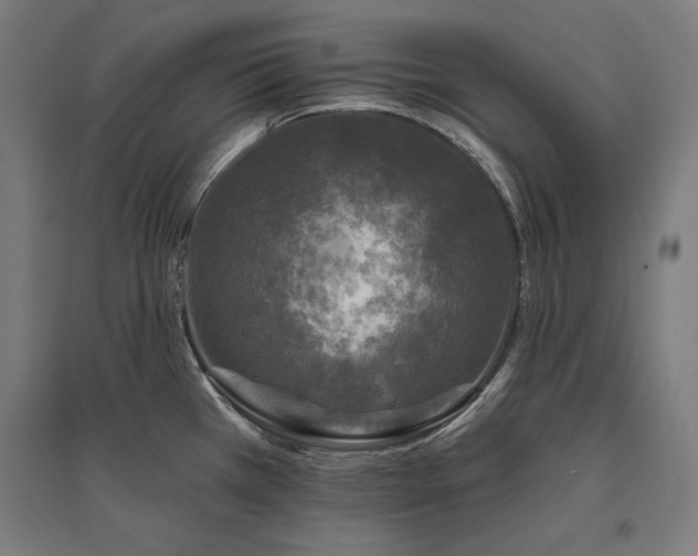 X0000096171385200801181240