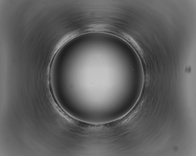 X0000096171386200801181240