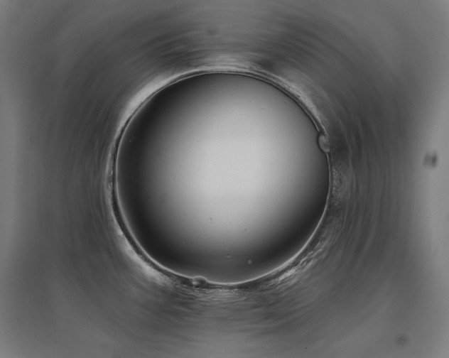 X0000096171387200801181240