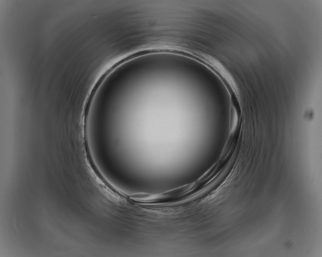 X0000096171388200801181240