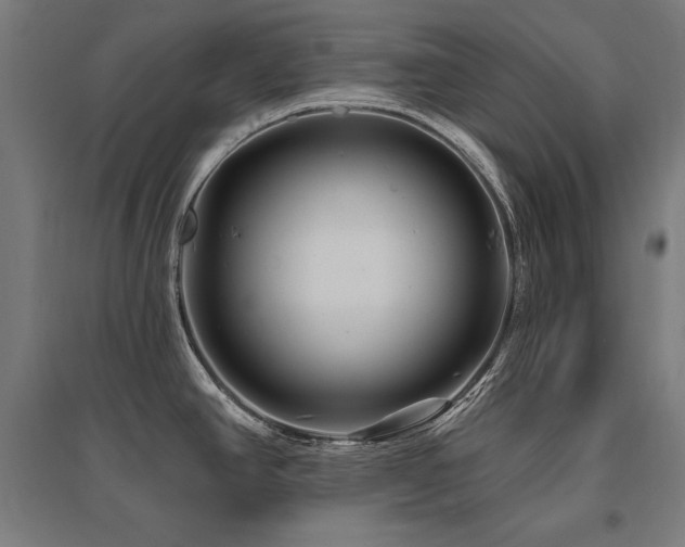 X0000096171390200801181240