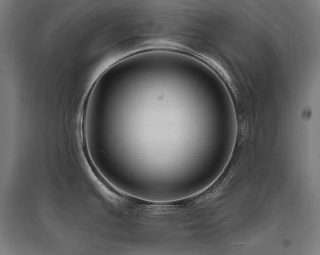 X0000096171391200801181240