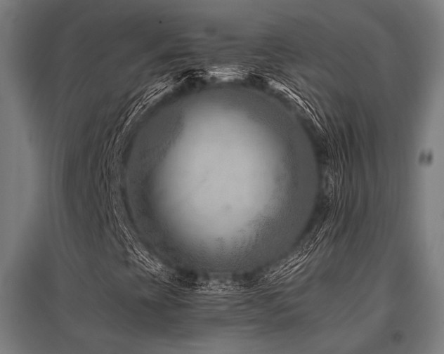 X0000096171393200801181240