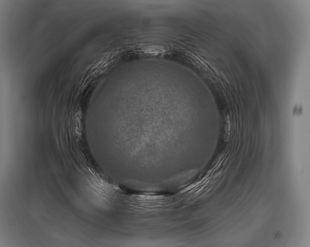 X0000096171394200801181240