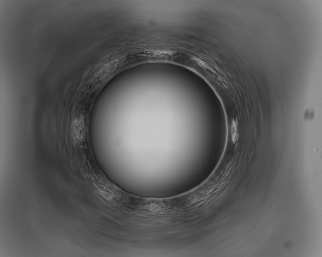 X0000096171395200801181240