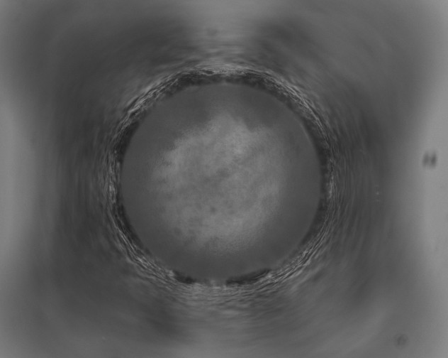 X0000096171397200801181240