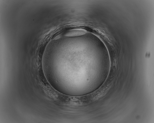 X0000096171398200801181240