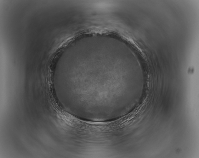 X0000096171399200801181240