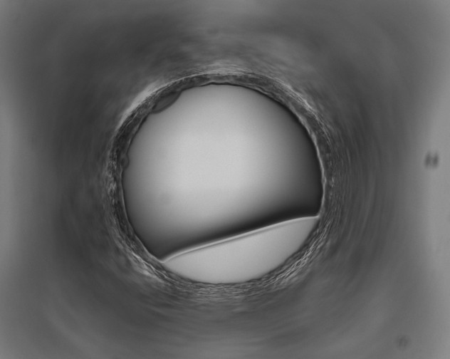 X0000096171400200801181240