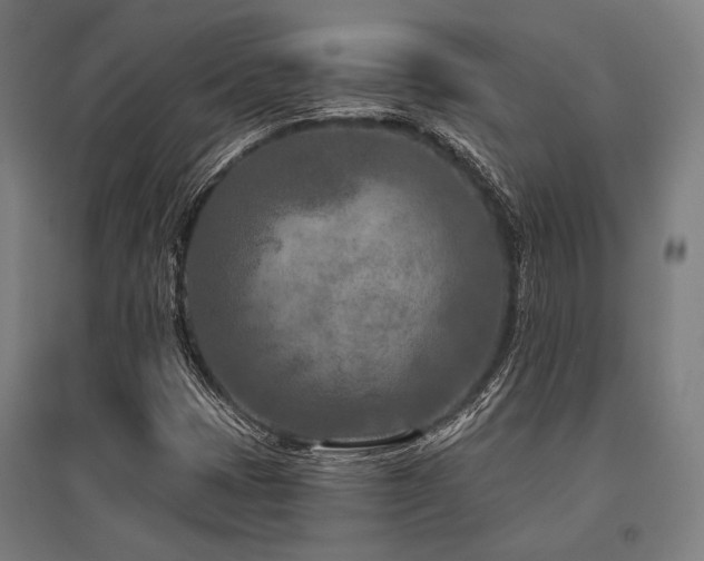 X0000096171401200801181240